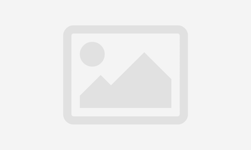 الويب الدلائلي